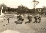 Children Nurses and Horses, 1938 Children Nurses and Horses, 1938