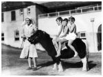 2018.2427.208 Shetland ponies, Petal and Powder, circa 1937