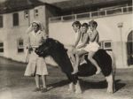 Pony Rides, Circa 1937 Pony Rides, Circa 1937