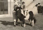 Hold on Tight, Circa 1937 Hold on Tight, Circa 1937