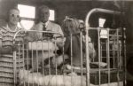 Child Bedside with a Man and Woman, Circa 1937 Child Bedside with a Man and Woman, Circa 1937