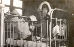 Child on Bed, Circa 1937 Child on Bed, Circa 1937