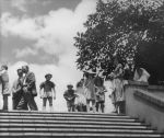 A long shot of women, men and children standing at the top of a set of wide stone stairs. There is a tree at the top right hand side of the stairs Posing on the Front Steps, Circa 1955