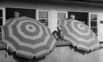 Long shot of four children outside the ward standing behind two beach umbrellas faces seen only posing for the camera. Under the Sun Umbrellas, Circa 1955