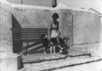 Long shot of an adult outside seated on a bench with legs crossed one hand is patting a dog. Playing with a Dog, Circa 1955