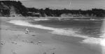 Long shot scene of a beach with a seagull walking on the sand in the foreground. Landscape View of the Beach, Circa 1955