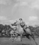 Long action shot of a person riding a horse over a jumps course. Man on a Horse, Circa 1955