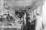 Long shot of a children's ward decorated for Christmas. There are children lying in beds along one wall. One nurse has a dog that is standing on one of the beds. Christmas Celebrations, Circa 1955