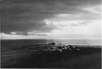Long shot of a beach. View of the Sea, Circa 1955