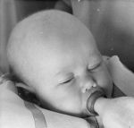 A close up shot of an infant drinking from a bottle with its eyes closed. Bottle Feeding a Baby, Circa 1955