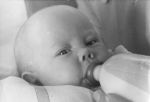 A close up shot of an infant drinking from a bottle looking at the camera. A Baby Being Bottle Fed, Circa 1955