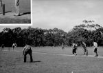 A long shot of men playing a game of cricket. Playing Cricket, Circa 1955