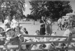 A long shot of a group of children and adults outside. Many of the children are looking through a fence with horizontal and widely spaced slats. There are female adults in the background alongside four males with their backs to the camera At the Races, Circa 1955