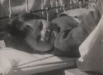 Smiling Child in Bed, Circa 1930 Smiling Child in Bed, Circa 1930