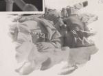 Playing in Bed, Circa 1930 Playing in Bed, Circa 1930