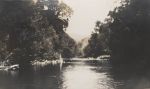 Landscape, Circa 1925 Landscape, Circa 1925