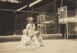 Playing on the Balcony, Circa 1925 Playing on the Balcony, Circa 1925