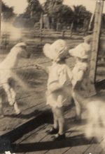 Feeding the Sheep, Circa 1925 Feeding the Sheep, Circa 1925