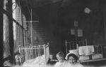 Candid Ward Scene, Circa 1915 Candid Ward Scene, Circa 1915