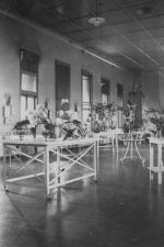 Snowball Ward, Circa 1915 Snowball Ward, Circa 1915