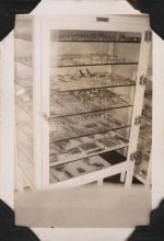 Surgical Instruments, Circa 1943 Surgical Instruments, Circa 1943