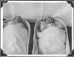 Two Babies in Bassinets, Circa 1943 Two Babies in Bassinets, Circa 1943