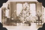 Flowers and Christmas Tree, Circa 1943 Flowers and Christmas Tree, Circa 1943