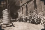 Nurses' Home Garden, Circa 1943 Nurses' Home Garden, Circa 1943