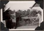 Dogs Behind the Gate, Circa 1940 Dogs Behind the Gate, Circa 1940