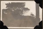 Landscape View, Circa 1940 Landscape View, Circa 1940