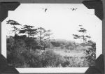 View of Tennis Court, 1942 View of Tennis Court, 1942
