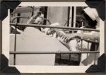 Play Time, Circa 1942 Play Time, Circa 1942