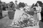 Picking Christmas Flowers