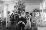 Christmas in Mt Eliza