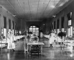 Nightingale Snowball Ward Nightingale Snowball Ward